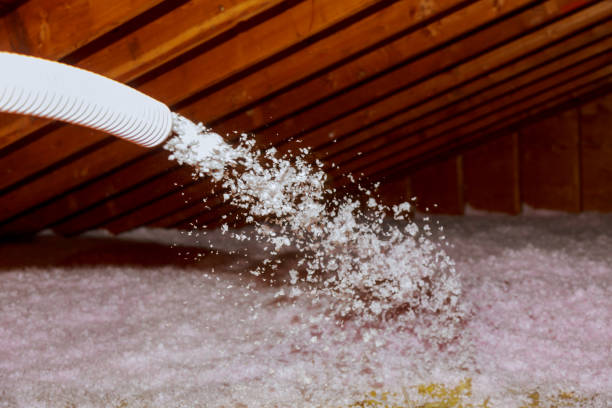 Best Geographic-Specific Insulation Services in Orange City, FL